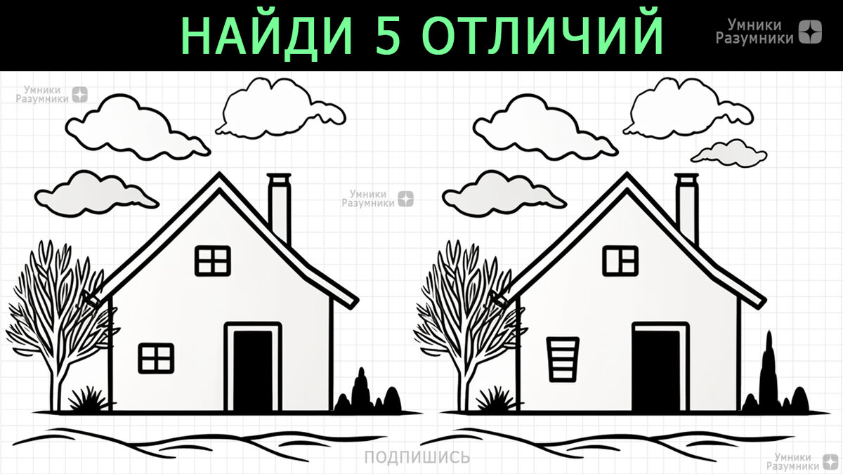 Найди 5 отличий