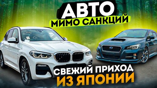 ПОСЛЕДНИЕ АВТО ИЗ ЯПОНИИ до санкций. ЦЕНЫ 2023❗️BMW X3❗️Levorg❗️COROLLA ❗️VOLVO❗️Mercedes