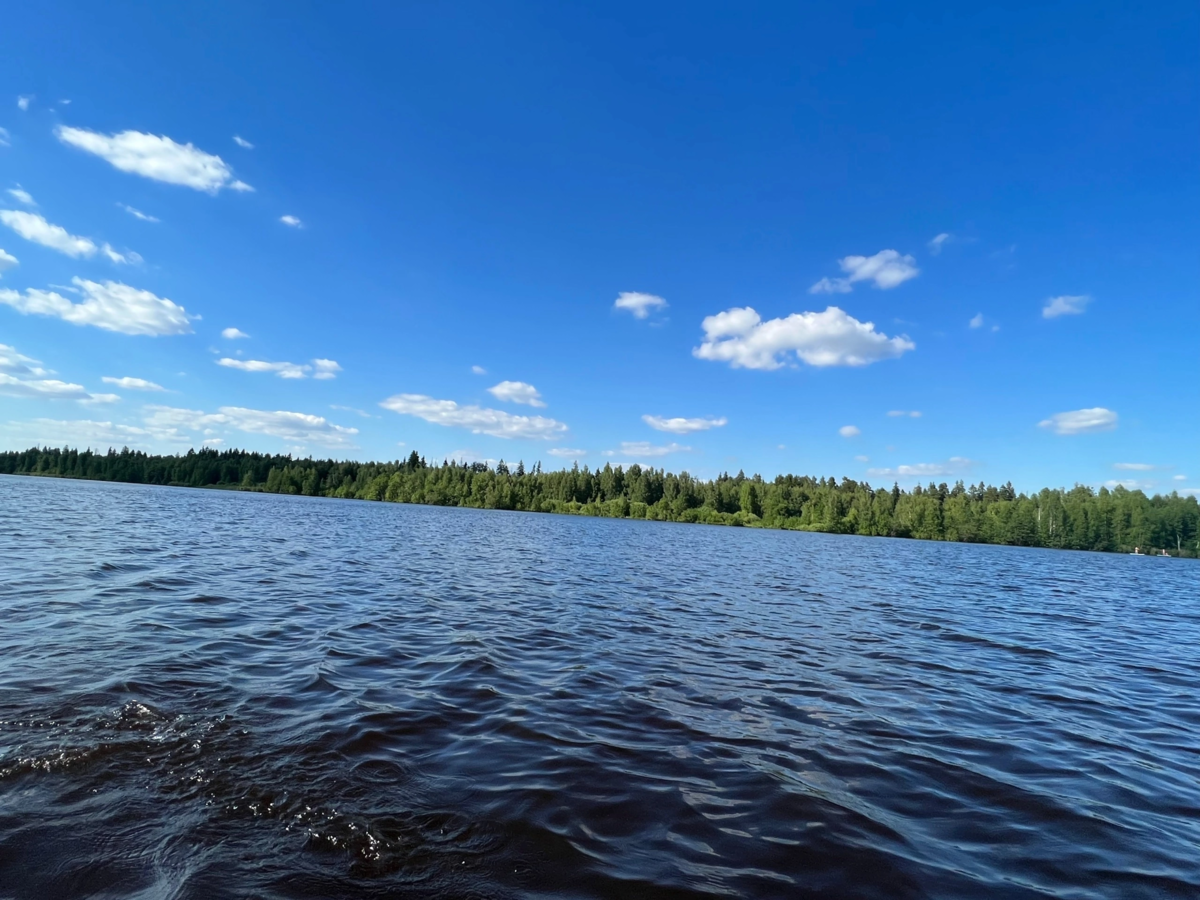 Озеро Долгое - популярное место для рыбалки в Московской области