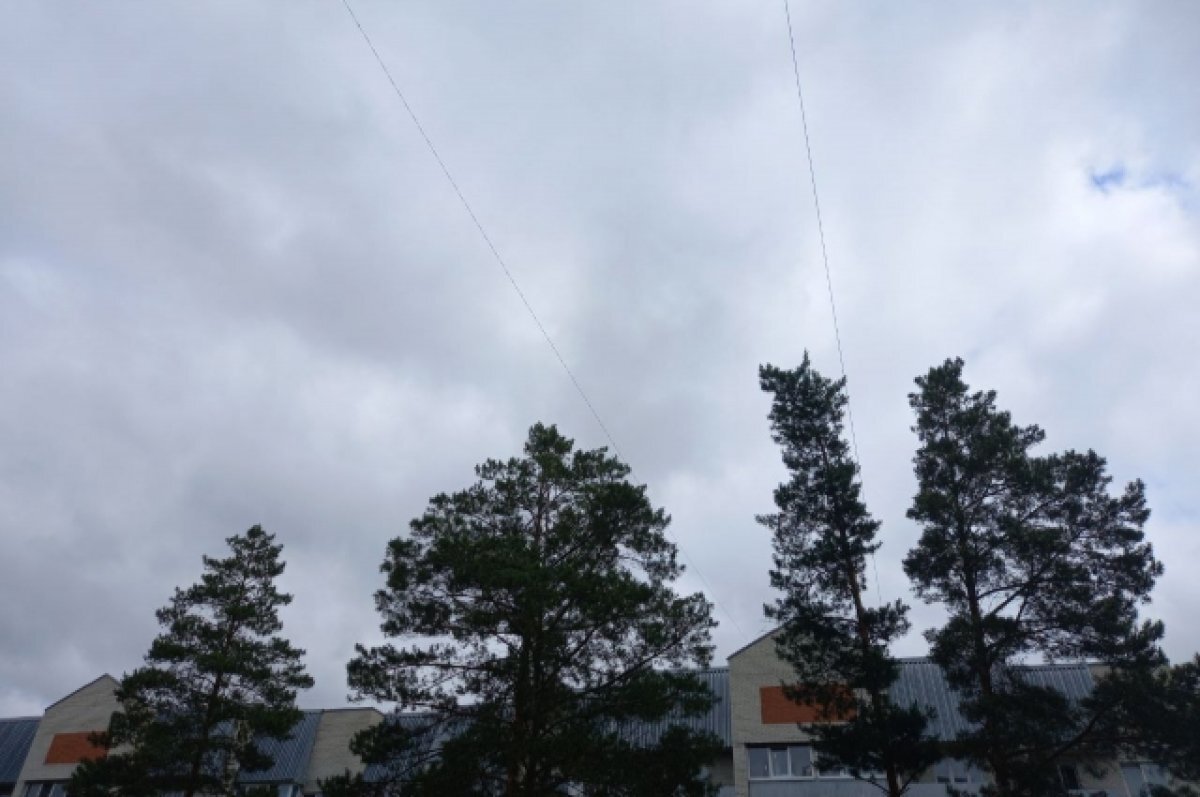    Житель Ноябрьска выиграл первенство России по авиамодельному спорту