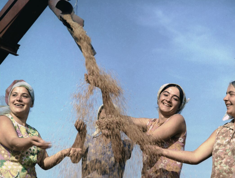 Фото Р. Денисова / РИА Новости