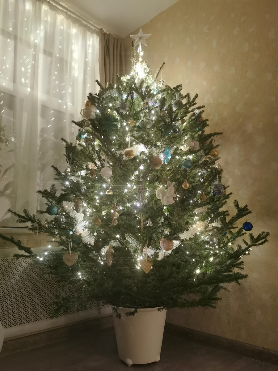 У нас потолки 3 метра, елка огрооомная помещалась, красиво...и куда ее теперь?