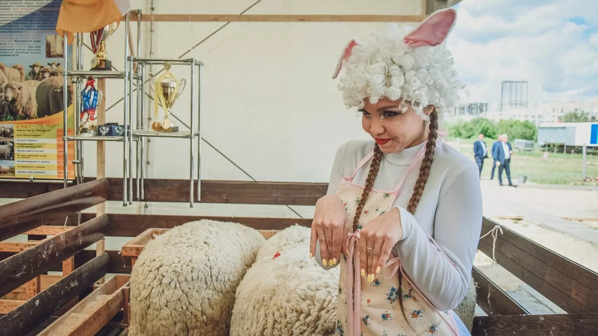     Телеведущая Ксения Собчак посетила Дагестан и сделала эффектное видео на фоне стада овец, сообщила она на своей странице в соцсетях.