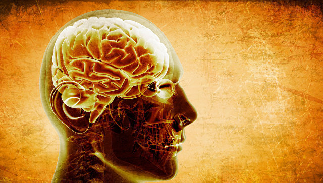 04:0427.07.201819591251© Fotolia / adimasПодпишись на ежедневную рассылку РИА Наука