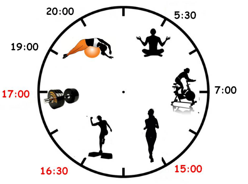 Как нужно проводить день. Лучшее время для занятий спортом. Занятия спортом и режим дня. В какое время суток лучше заниматься спортом. Лучшее время для трени.