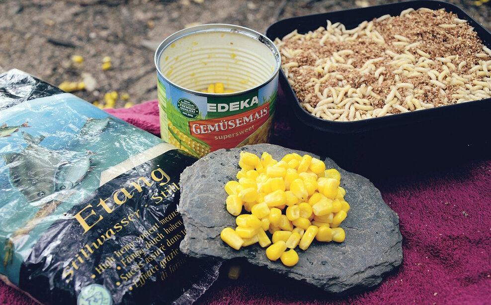 Фото: https://dvapodvoha.ru/wp-content/uploads/2018/06/karausche_illner_2.jpg