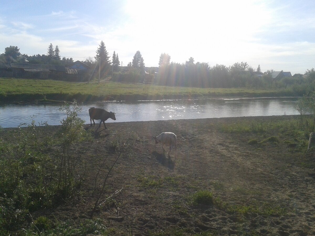 Эта речушка сносит дома по весне.