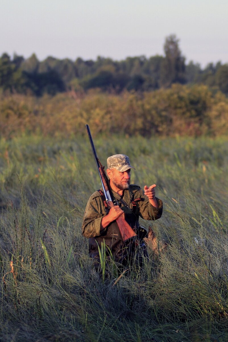 Впереди дичь