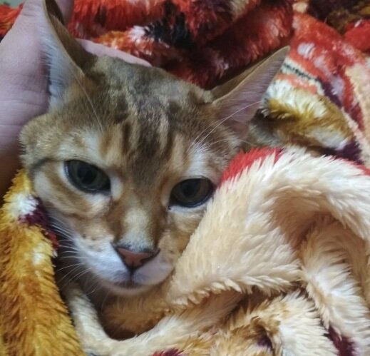 Я сам не понял откуда взялась эта лужа.