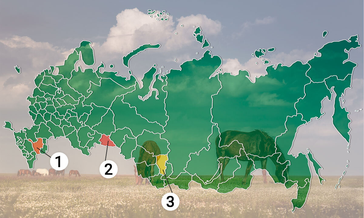 Отметить республика. Карта животных Башкортостана. Карта обитания зверей Башкирии. Татарский канал география. Карта Республики твари.