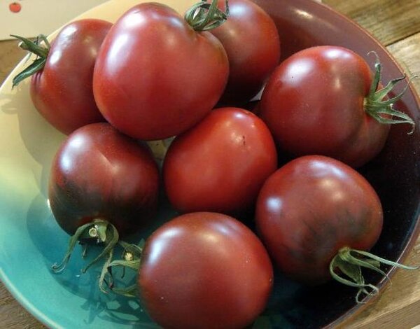 Сорта томатов для консервации на зиму, не требующие опыления и отлично подходящие для выращивания в теплице