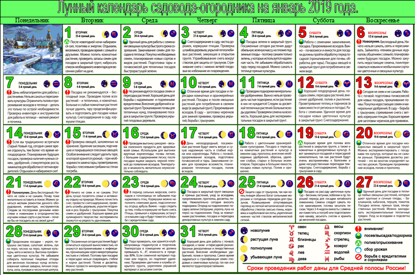 Лунный календарь садовода на февр. Лунный календарь огородника на январь 2020 года. Газета панорама Рязань календарь огородника. Лунный календарь дачника на 2024г