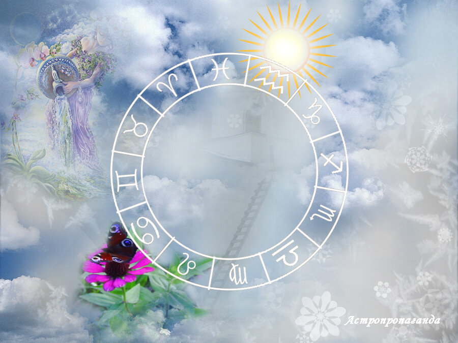 Коллаж Нины Стрелковой.