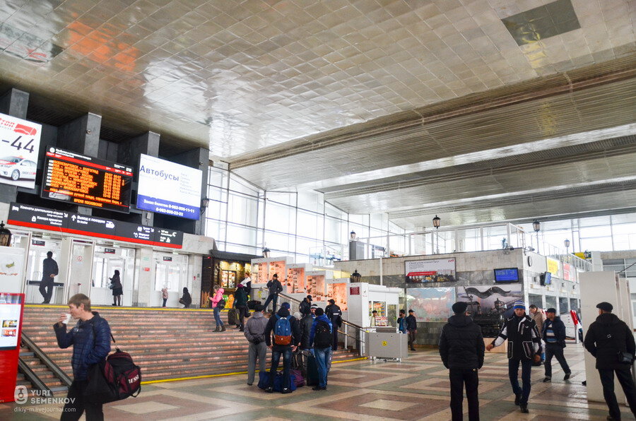 Фото: Юрий Семенков / dikiy-m.livejournal.com