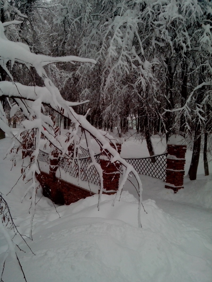 Фото: автор