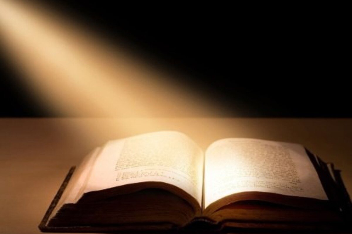 Изображение взято из интернета