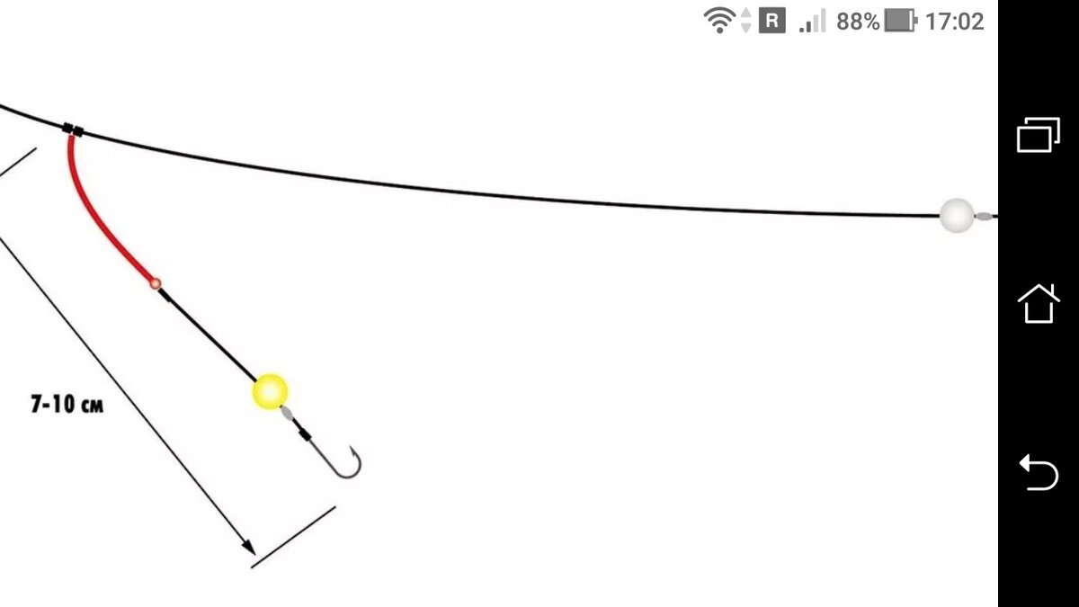 фото Донная снасть с тремя крючками на одном поводке