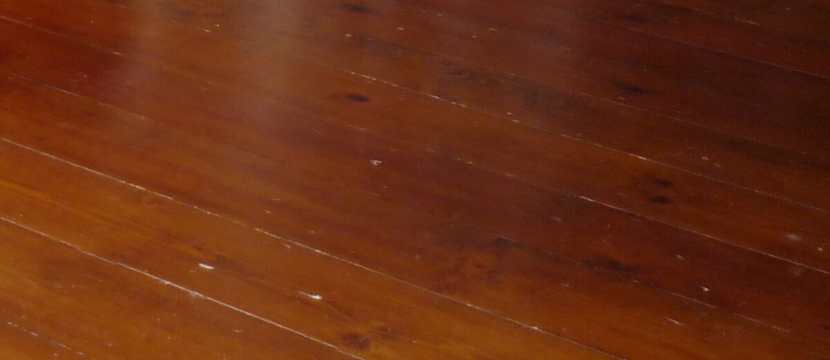 фото автора. Дедюхин Александр