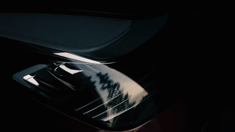 Надо признать, что у Симоны получился чуть ли не профессиональный рекламный ролик, да и масштабы и качество работ тоже удивляют) 