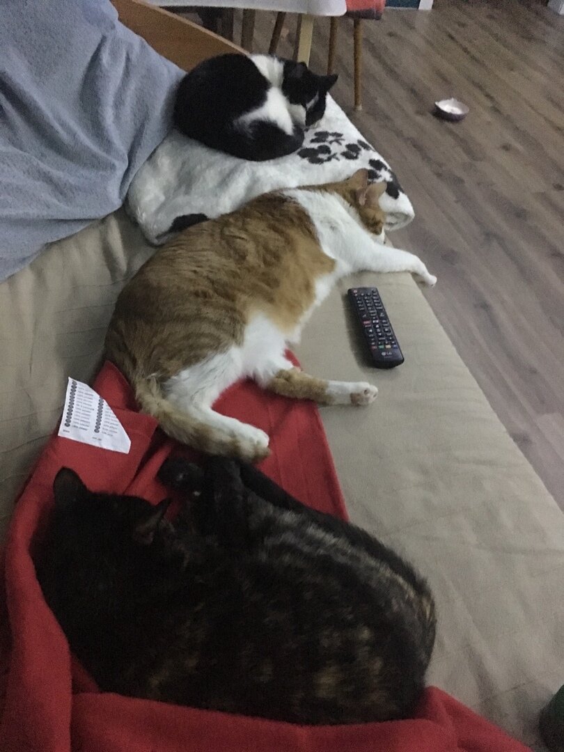 Грузины всегда в окружении прекрасных дам)))).