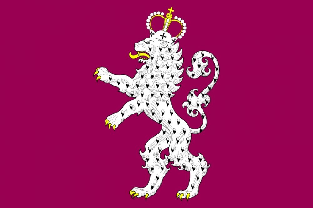 Флаг МО Княжево. Фото Википедия  