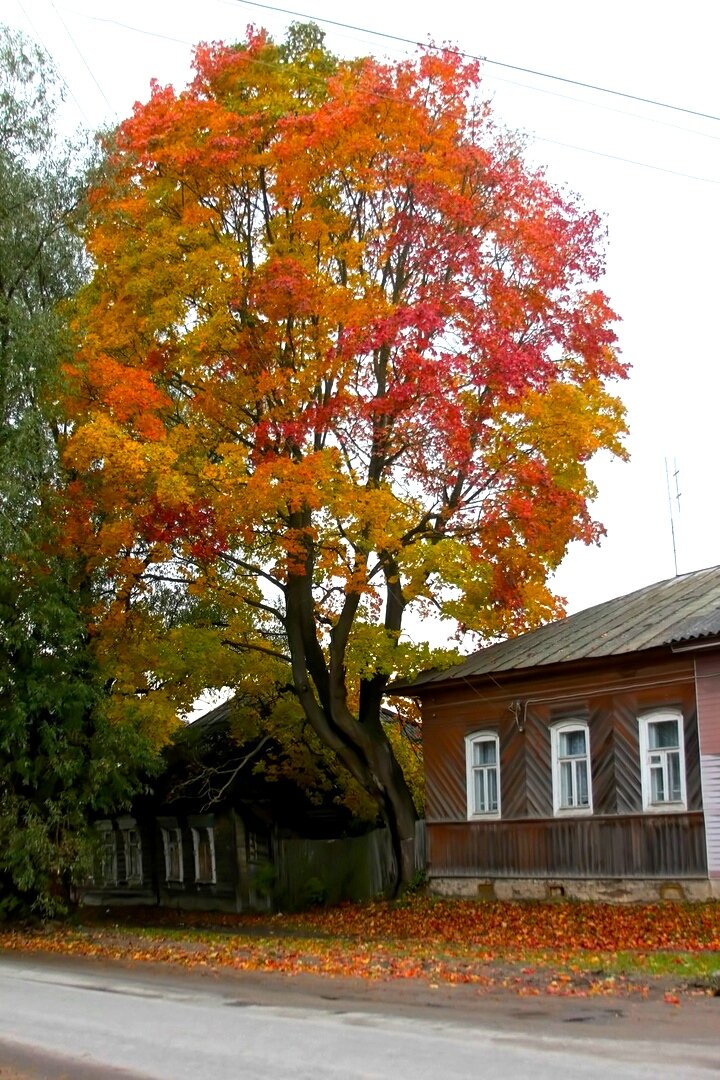 Бежецк. Тверская область. Фото автора