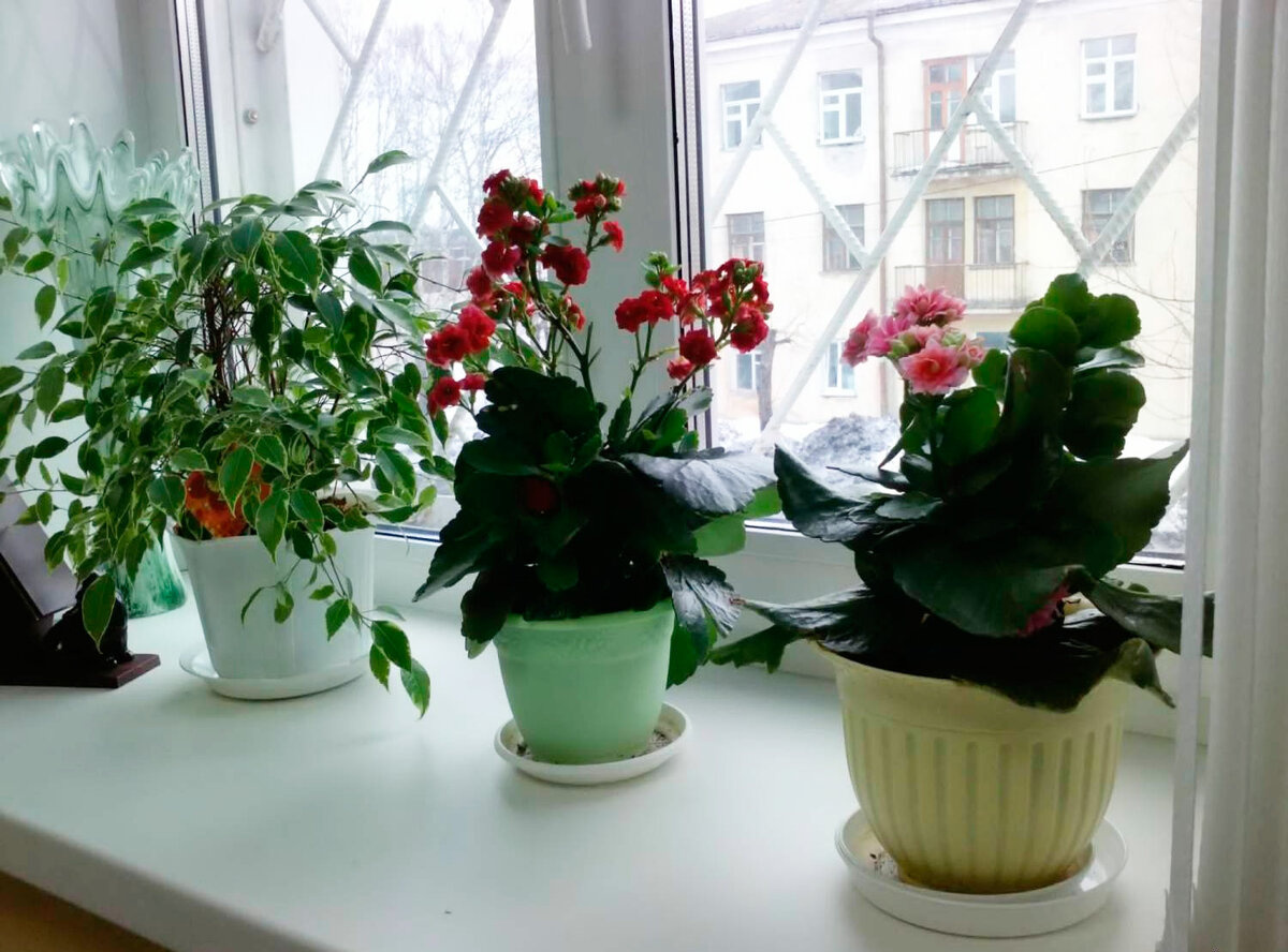 Фото из свободного доступа