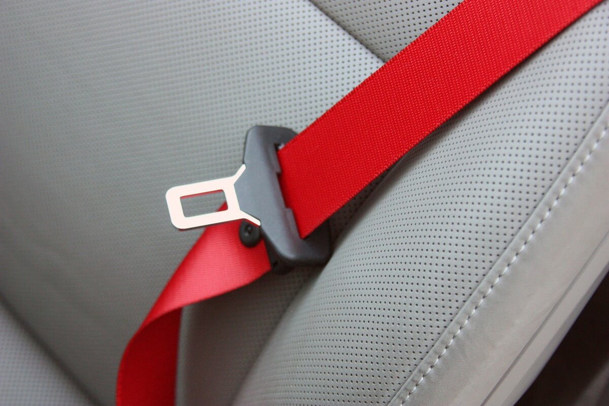 Seat Belt