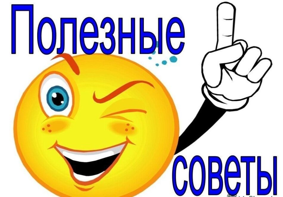 lestorg32.ru