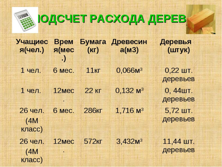 Сколько людей на дереве. 100 кг макулатуры 1 дерево. Сколько всего деревьев. Сколько нужно деревьев для бумаги. Сколько деревьев надо.