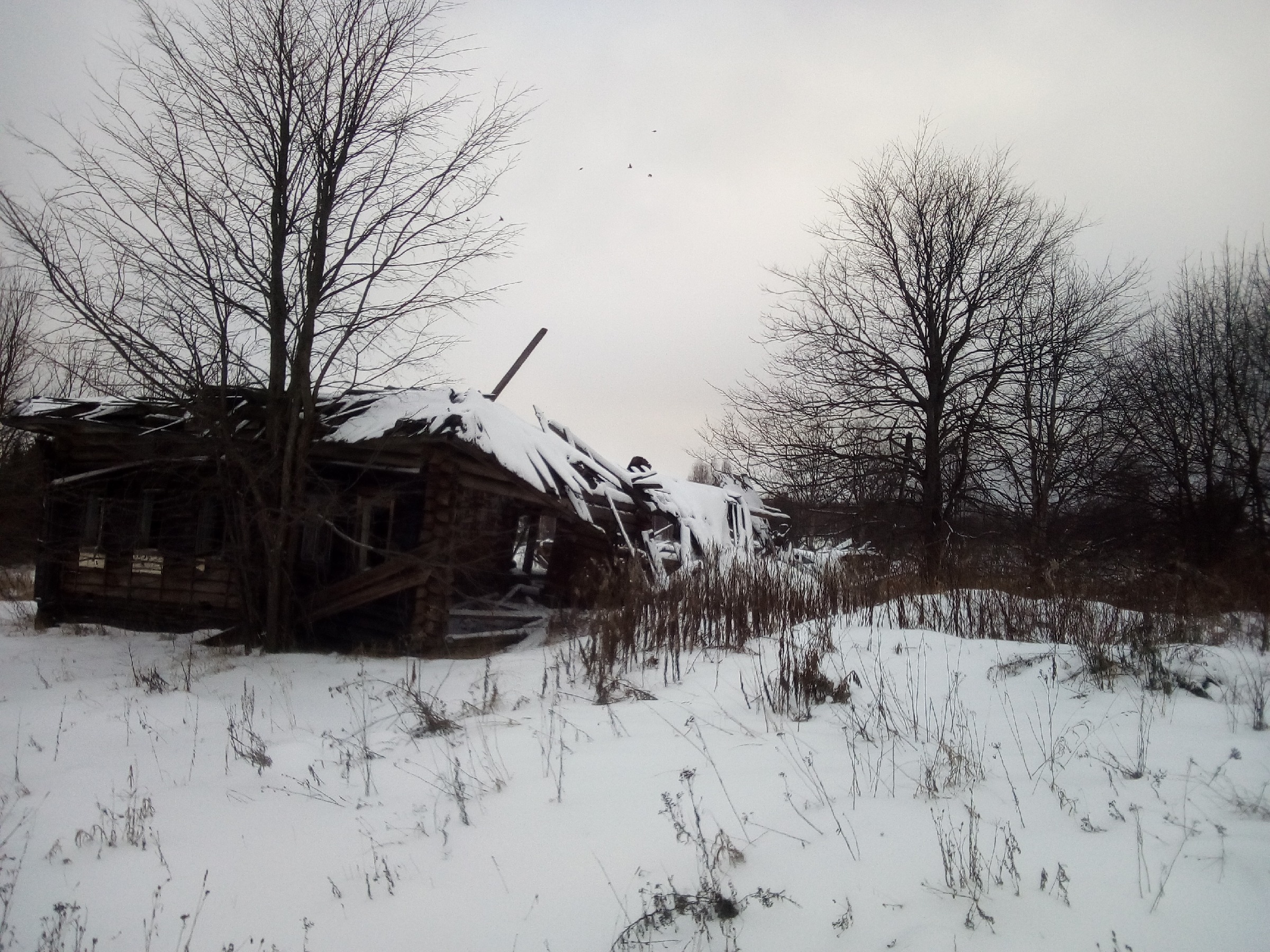 Село поставь. Заброшенные деревни Нижегородской области заброшенные. Нерехта заброшенные деревни. Заброшенные деревни Ивановской области Яковлево Ильинский район. Заброшенные деревни Зубцова.