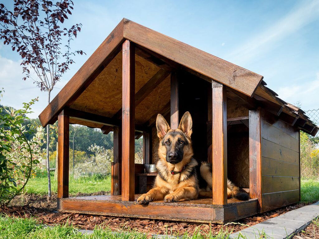 Лучшие породы собак для охраны частного дома