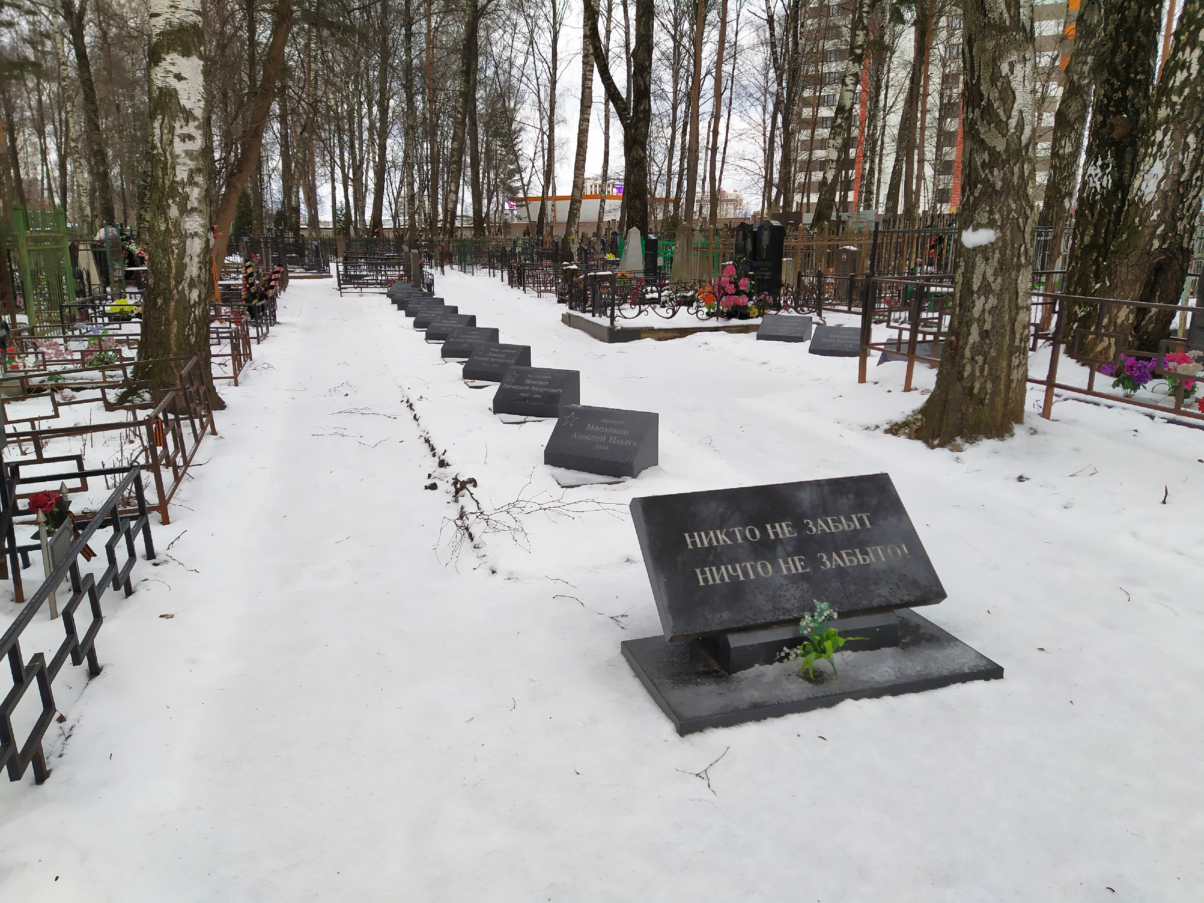 Химкинское кладбище москва. Новолужинское кладбище Химки. Машкинское кладбище Химки. Колумбарий в Химках на Новолужинском кладбище. Химкинское кладбище Похороненные на Химкинском кладбище.