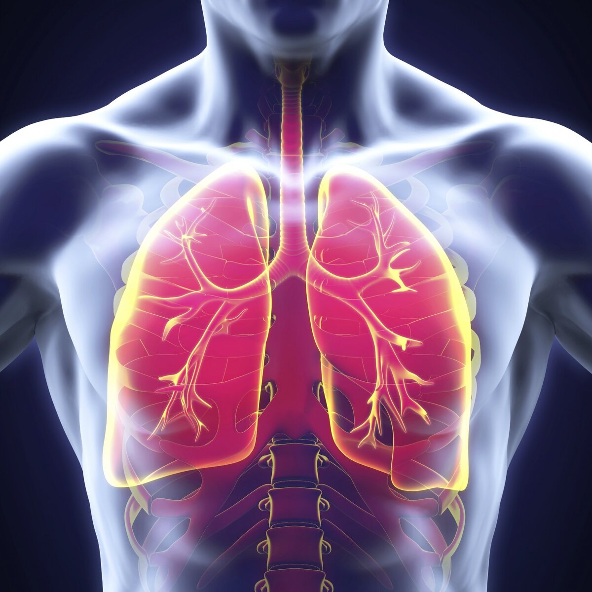 Фото из открытых источников.