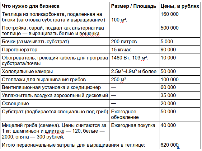 Бизнес план по выращиванию грибов шампиньонов