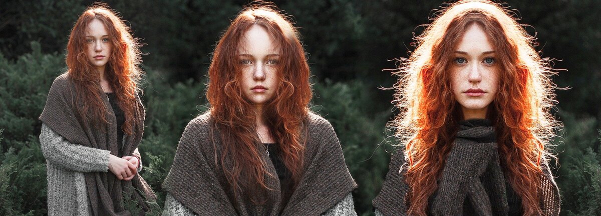 Изображение Prettysleepy с сайта Pixabay 