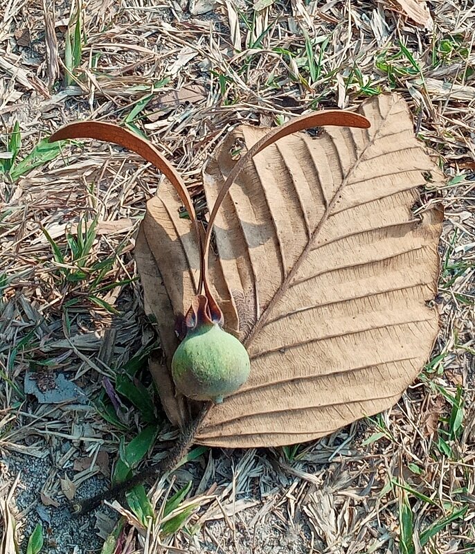 Ростки новой школы здесь, рядом с нами - потому что рядом с нами - наши дети, уделите им время, старая школа явление целостное, и однажды она просто рассыпется как прошлогодний лист, не стоит тратить на неё драгоценное время, ему есть лучшее применение...  
