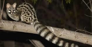 Фото взято из открытых источников