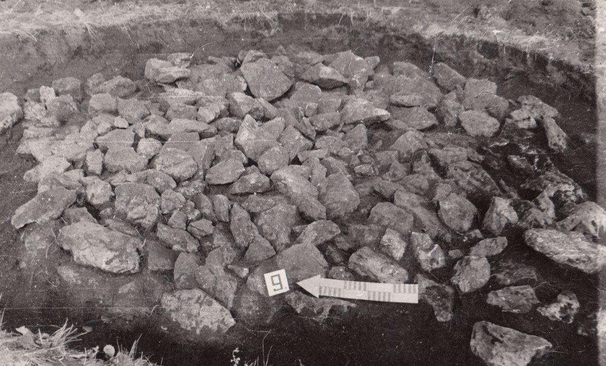 Могильник Бурхутуйской археологической культуры. 1950-е годы. Из фондов МУК "БРКМ"