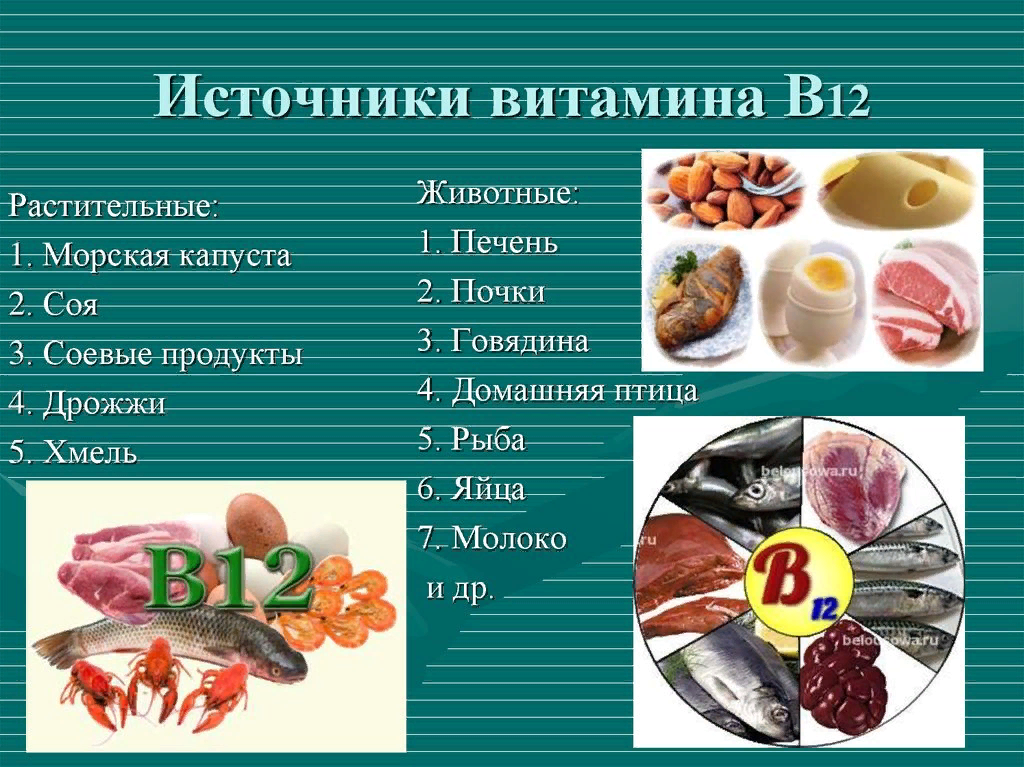 Источники витамина в12. Источники витамина b12. Витамины группы б12. Основные источники витамина в12 в питании.