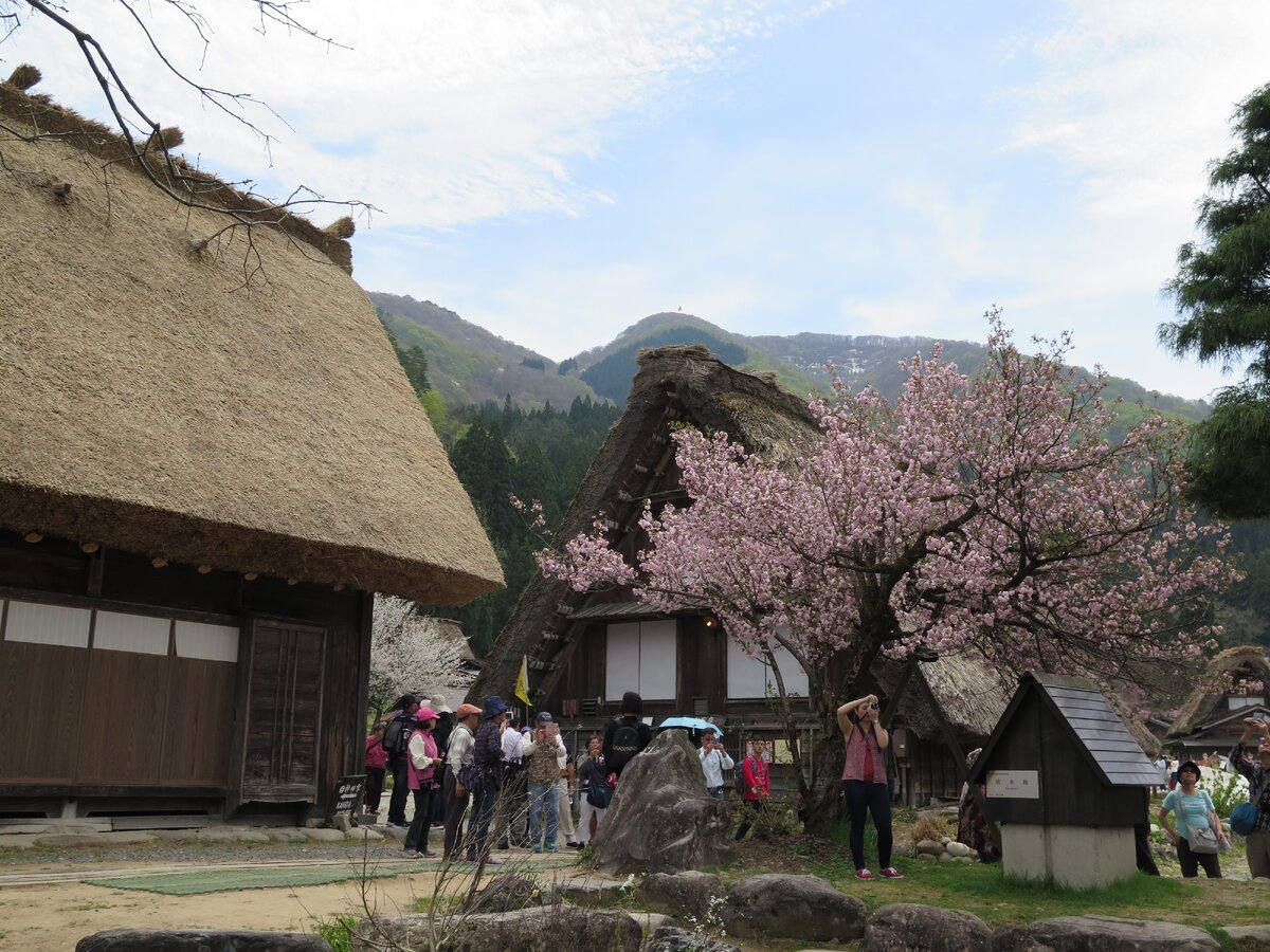 Как выглядит традиционная деревня в Японии? На российские совсем не похожа