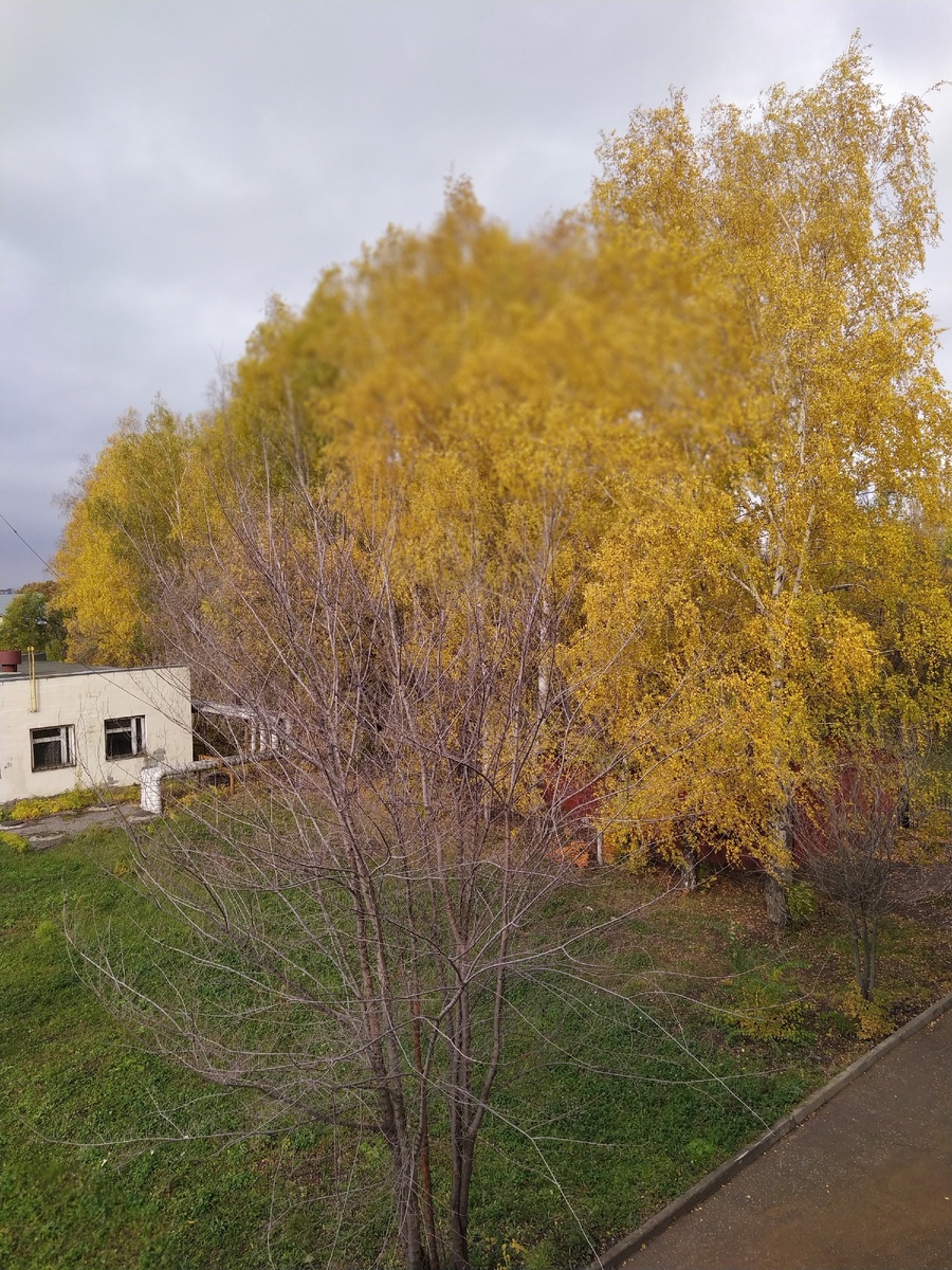 Осень 