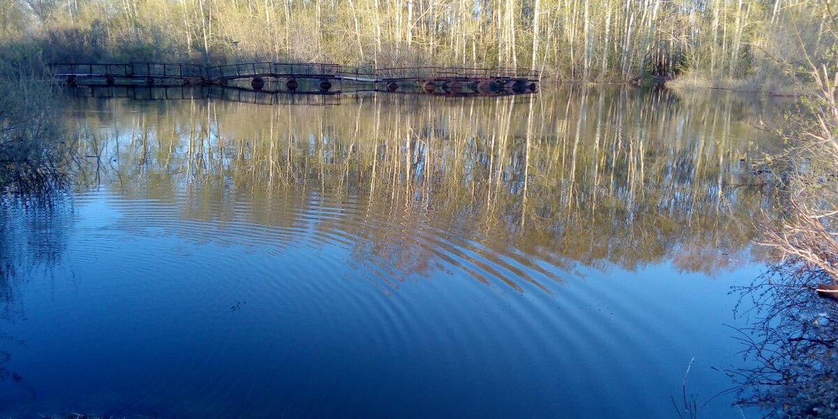 река Омь, район Профилактория, противоположный берег - парк Гагарина, 26.04.2020.