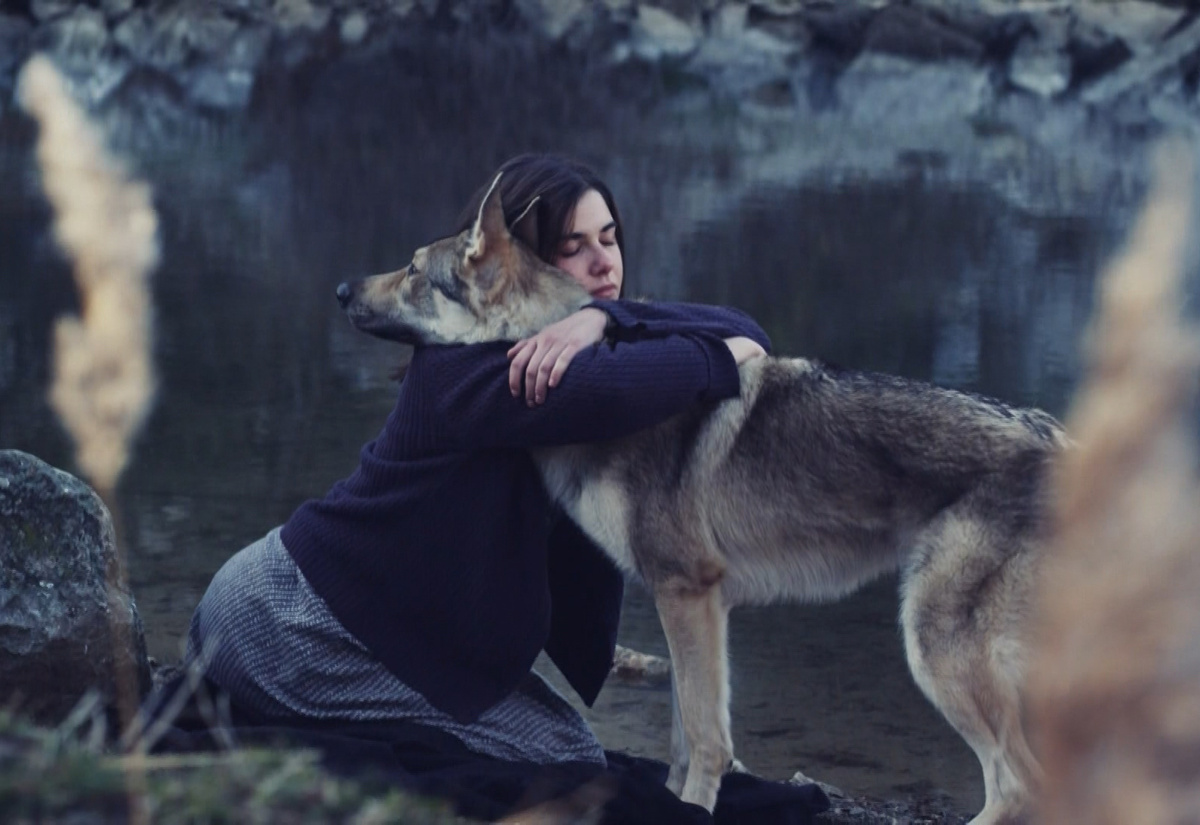 кадр из фильма "Джульбарс"