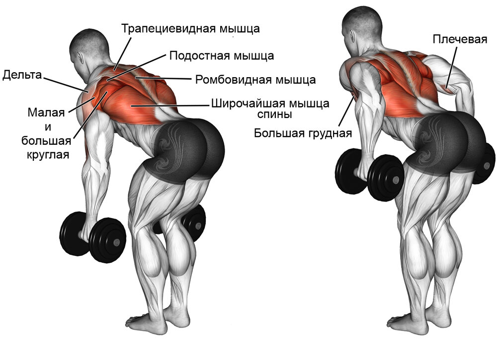 Как накачать спину