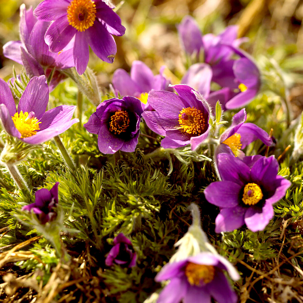 Фото из личного архива