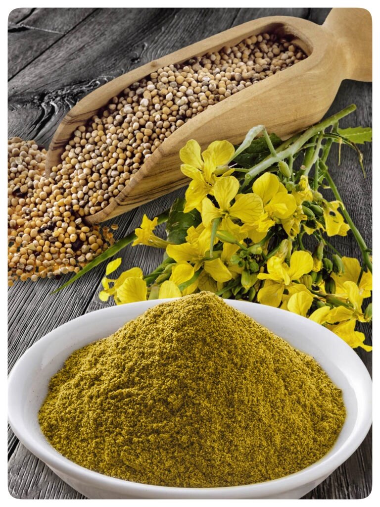 Горчичный порошок от муравьев