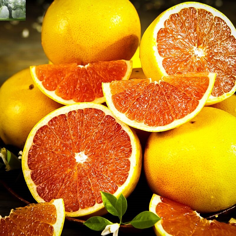 Как правильно хранить грейпфрут и какие противопоказания есть для употребления этого супер цитруса