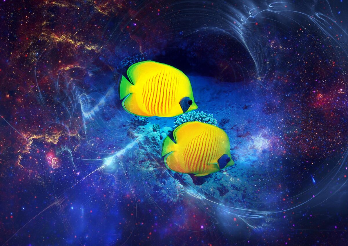 Астрология