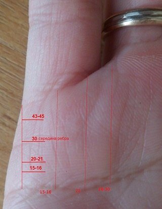 Как читать и расшифровать линию детей на руке